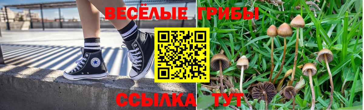 Унеча  Галлюциногенные грибы Psilocybine cubensis  Вход с VPN 